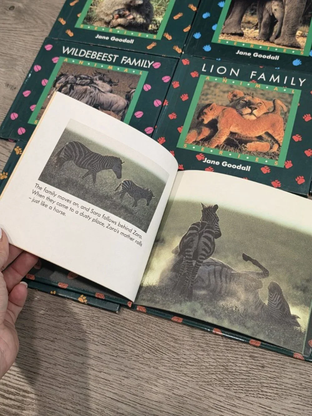 Jane Goodall Animal Family Series Book Set - 8 Hardcover Books African Wildlife